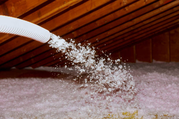 Best Commercial Insulation in Talluh, LA