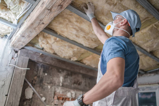 Best Insulation for Specific Applications in Talluh, LA
