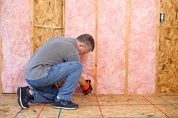 Best Types of Insulation in Talluh, LA