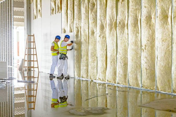 Best Insulation Installation Services in Talluh, LA